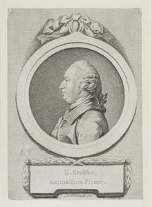 Étude de portrait de George Stubbs (1724-1806) (gravure en manière douce)